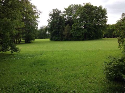 莫斯科圣彼得堡游记