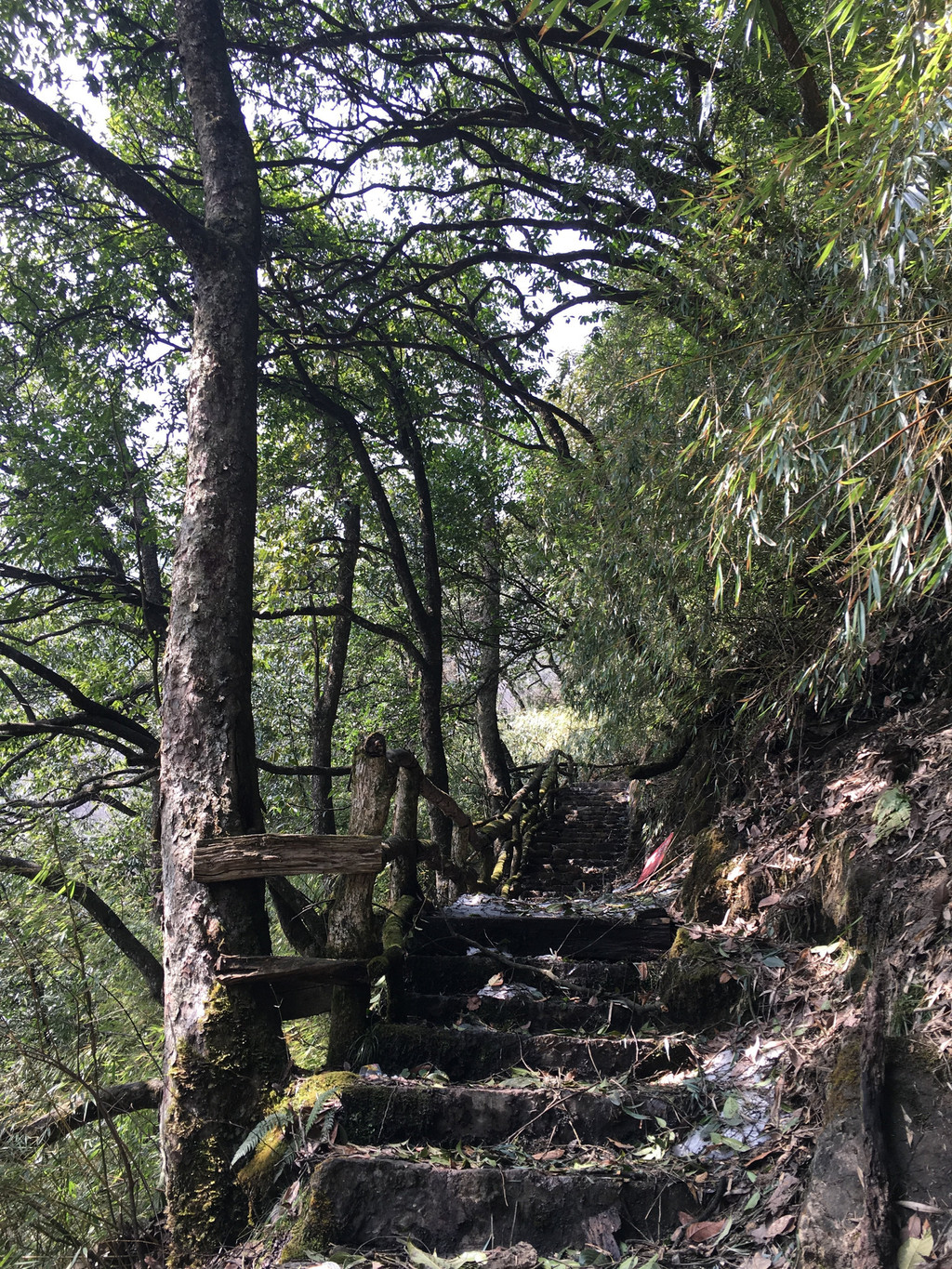 到达獐子崖十二点.