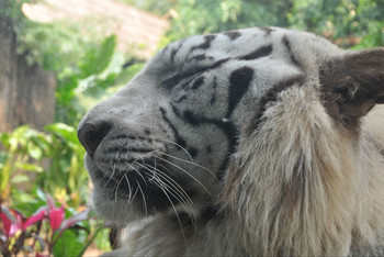 CggYs1bMAa-APzFHAAPUjAi5heU482_C_350_234_Q90.jpg