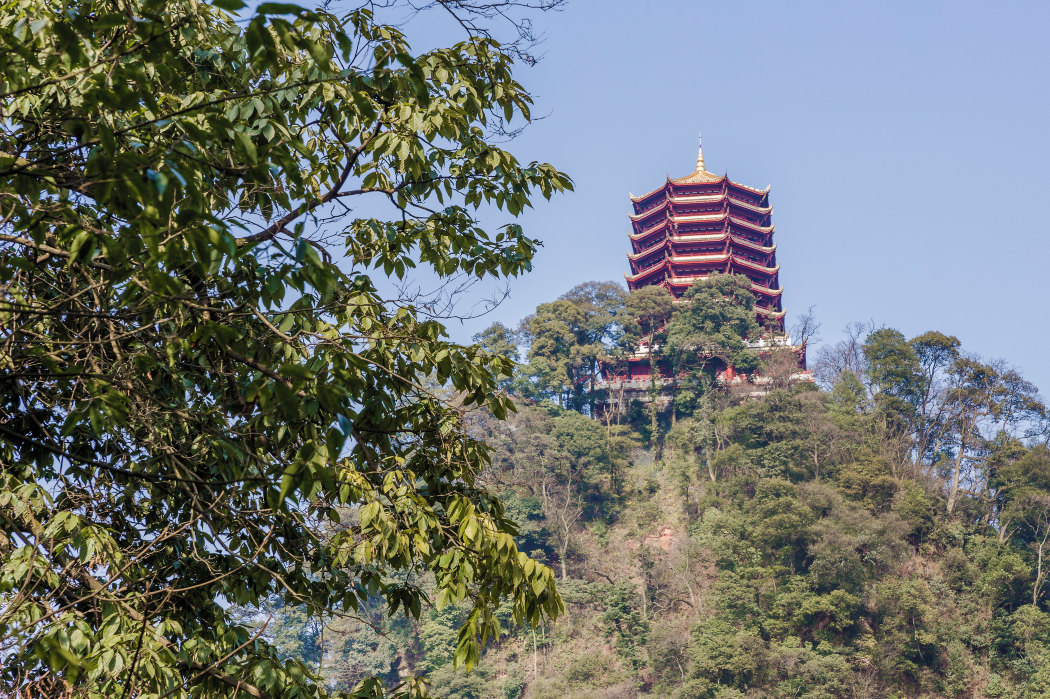 成都青城道景点门票