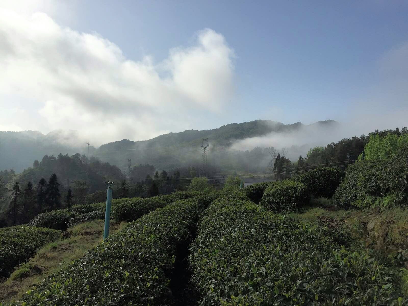 龙王垭养生山庄