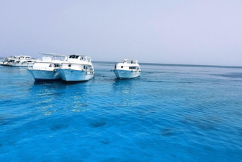 埃及,时间是一场奇妙的旅行 - 游记攻略