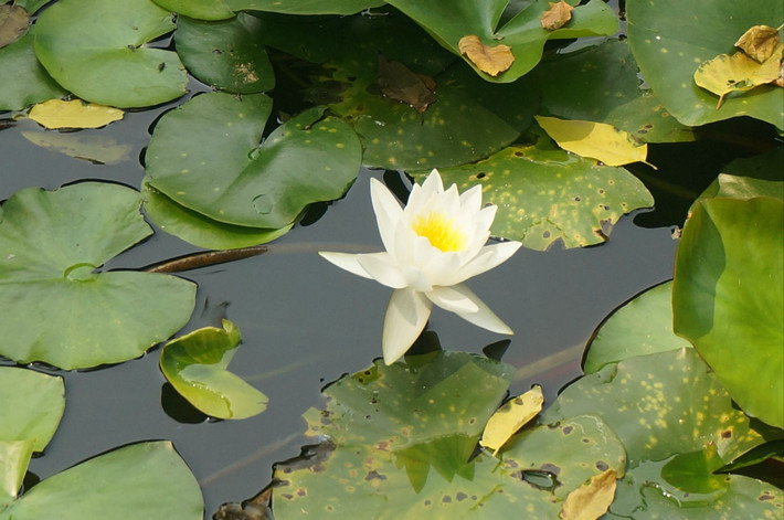 西安|夏末秋初遊古都