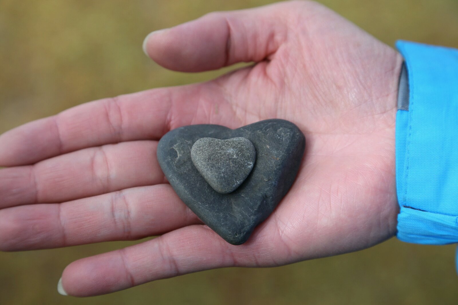 同心石. 那木措湖