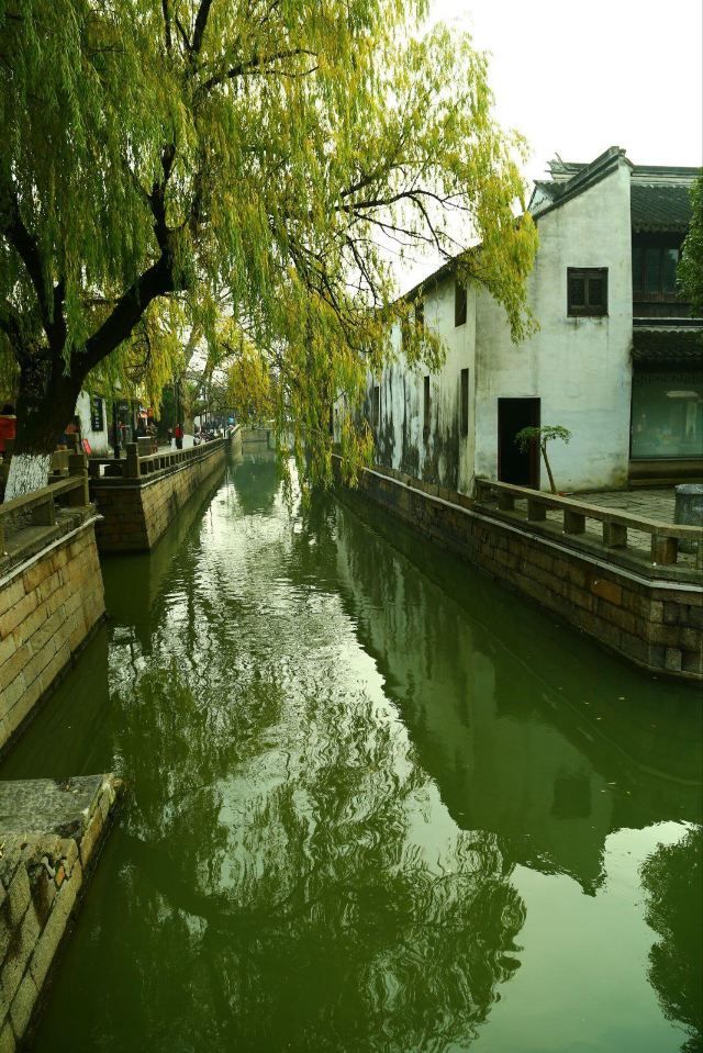 【江苏印象】5 园林之美—姑苏城