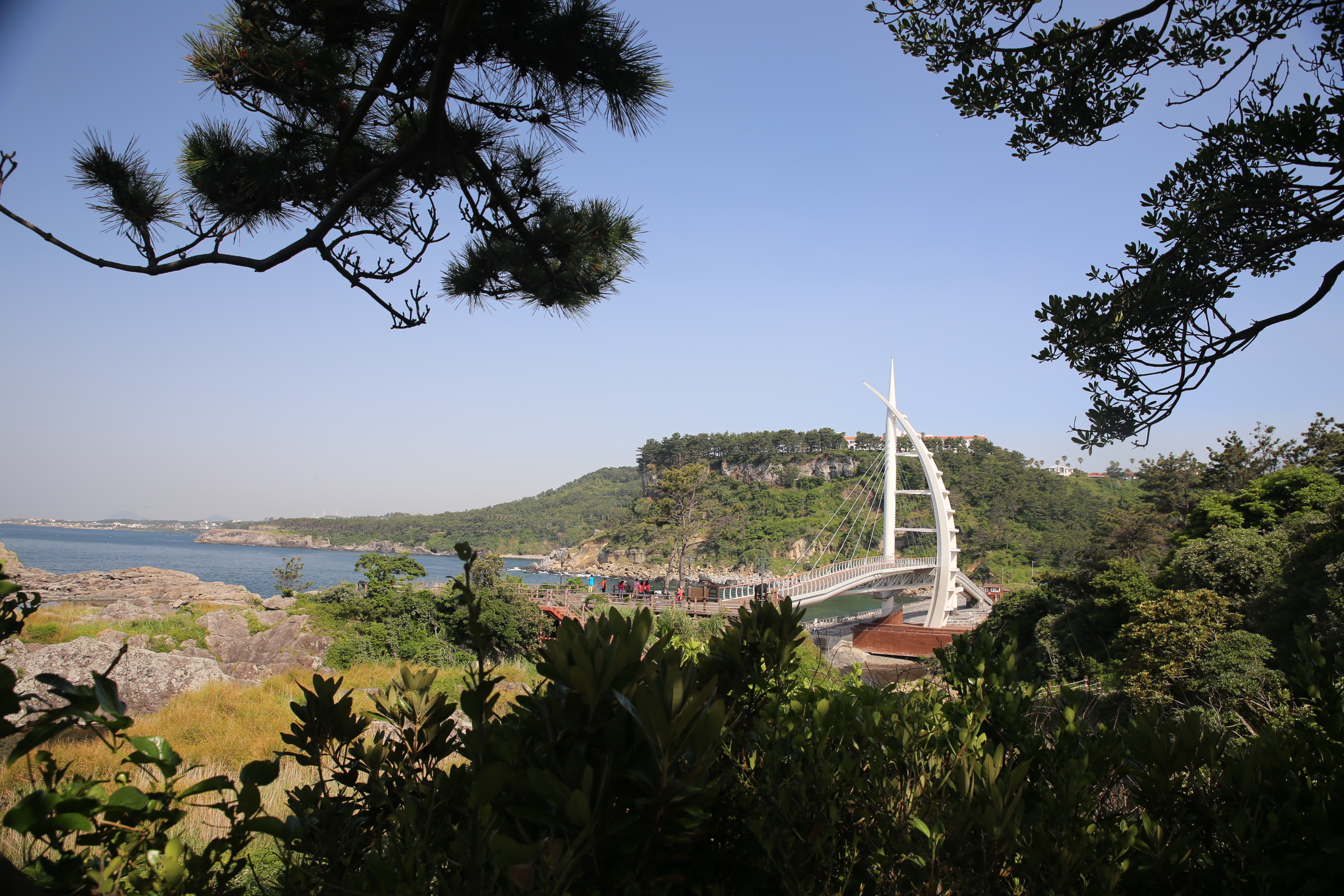 把节奏放慢,三代人一起感受济州岛的春天