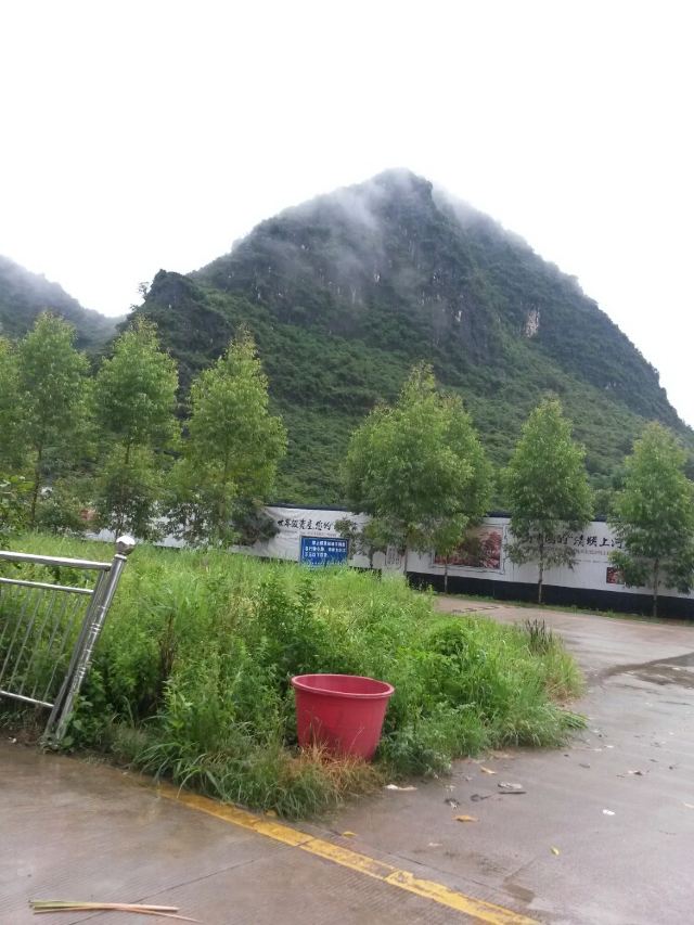 桂林市区有多少人口_桂林市区的景点(2)