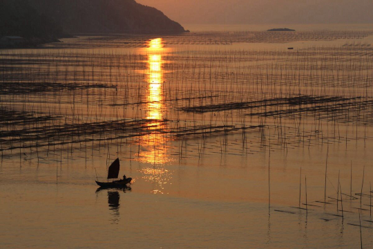 宁德霞浦 携程网