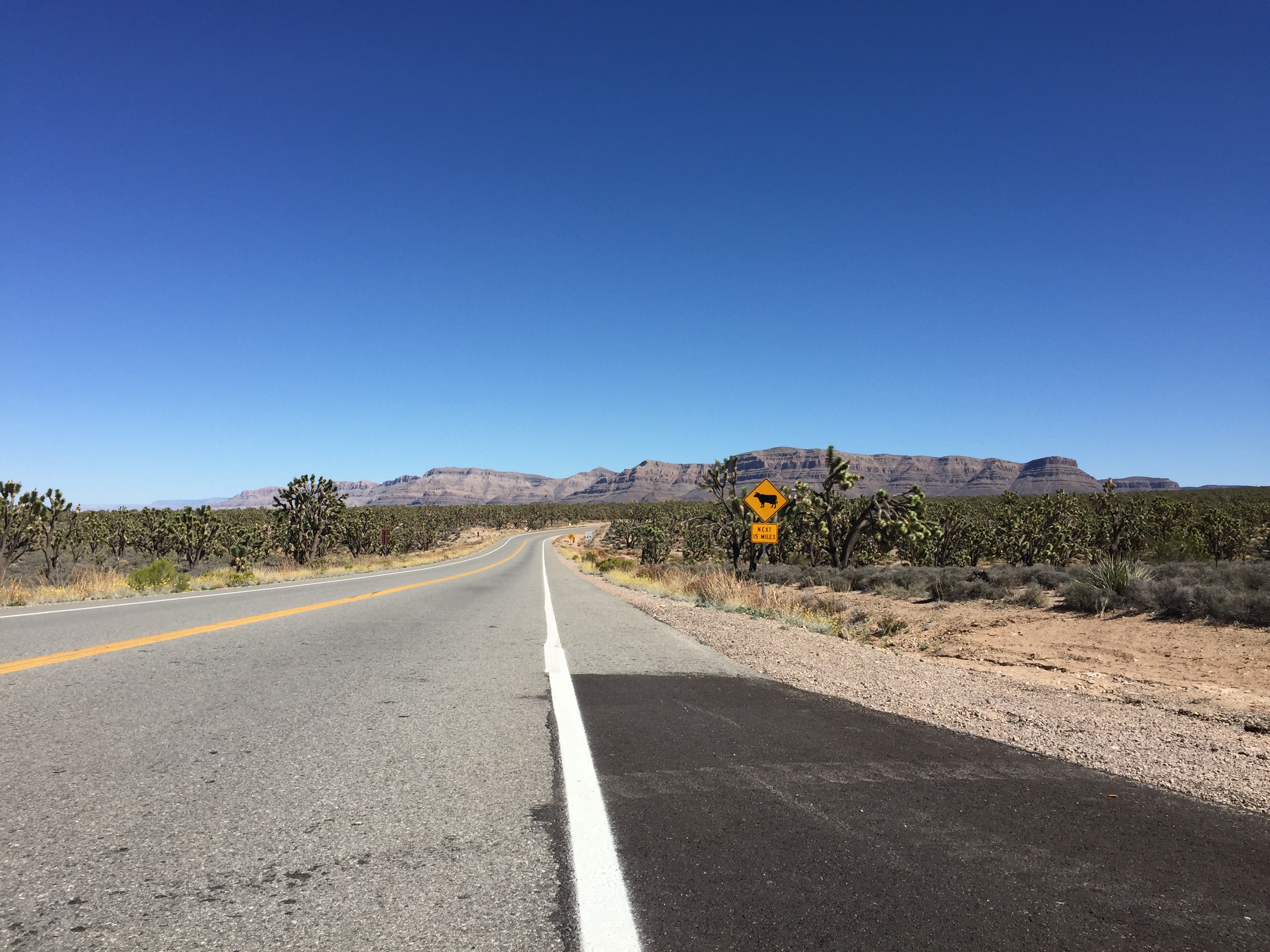 最好的时光在路上-美国西部自驾11日游(经典66号公路,最美1号公路