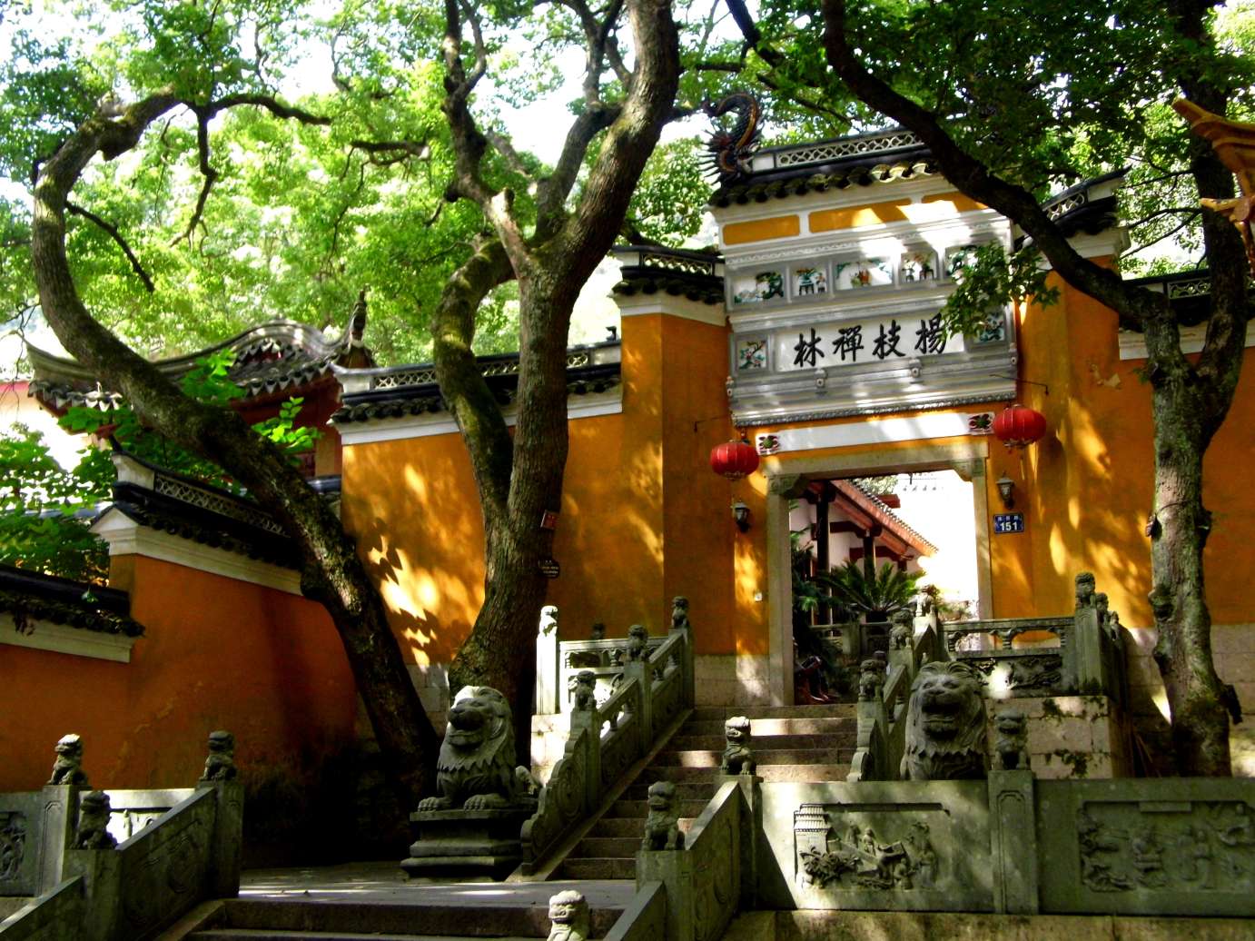 塔影荷风普陀山