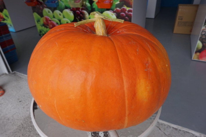 台湾我来也-那一大片让人沉醉的海!