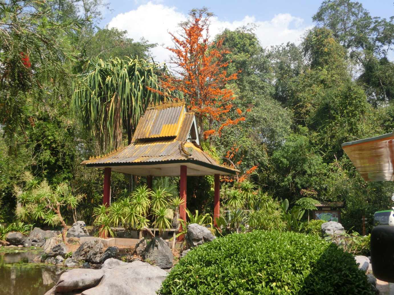 西双版纳——世外桃源般的热带植物园