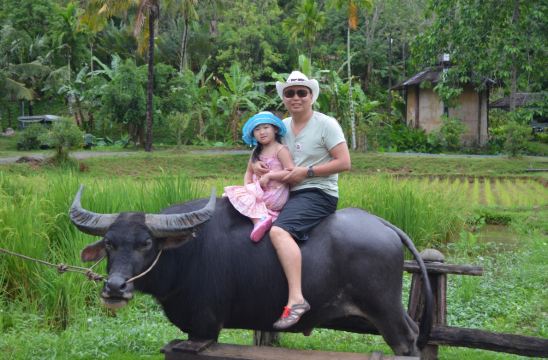 骑水牛也很有意思