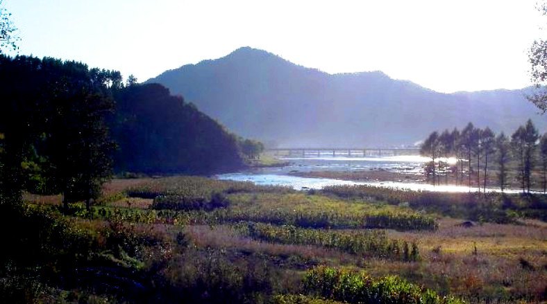 回龙湾国家森林公园