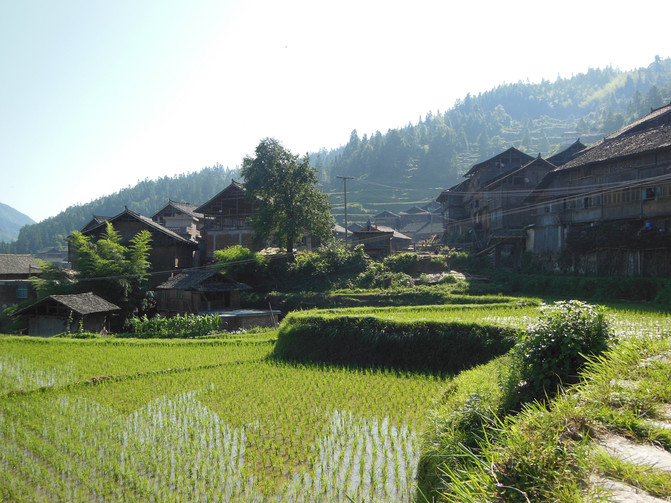 金元宝水塘猜成语_金元宝简笔画(3)