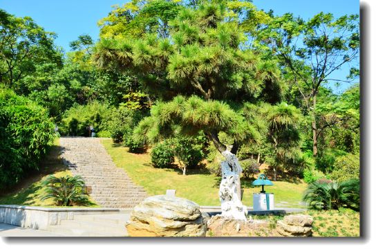 游走佛山-罗村状元公园