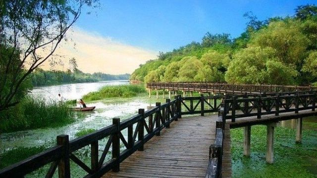 柳树湾门票,淮安柳树湾攻略/地址/图片/门票价格【携程攻略】