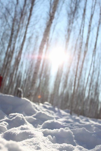 东北什么时候开始有雪 051764ac67074b78b094d1c34a5956a1_R_1024_10000_Q90.jpg