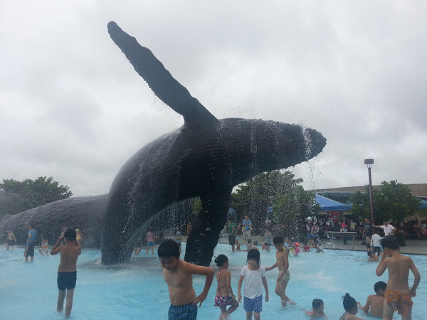 中国水族人口素质_中国水族文化旅游节在贵州三都县开幕