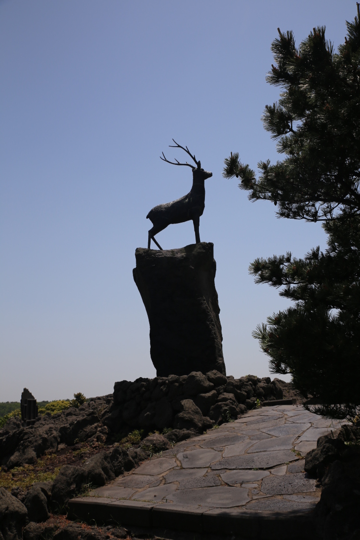 把节奏放慢,三代人一起感受济州岛的春天 - 济州岛游记攻略【携程攻略