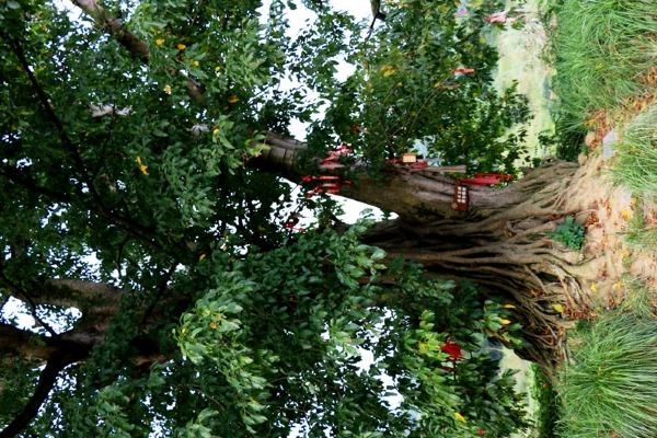 这是母子树,母亲抱住孩子,不让他分离.