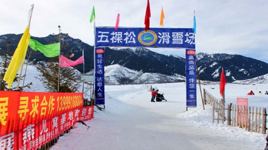 五棵松滑雪场