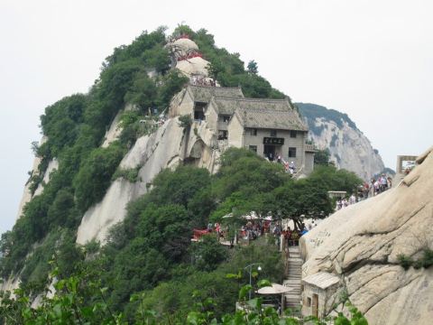 登上聚仙台,过一棵树,继