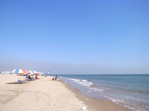 乐亭浅水湾游记