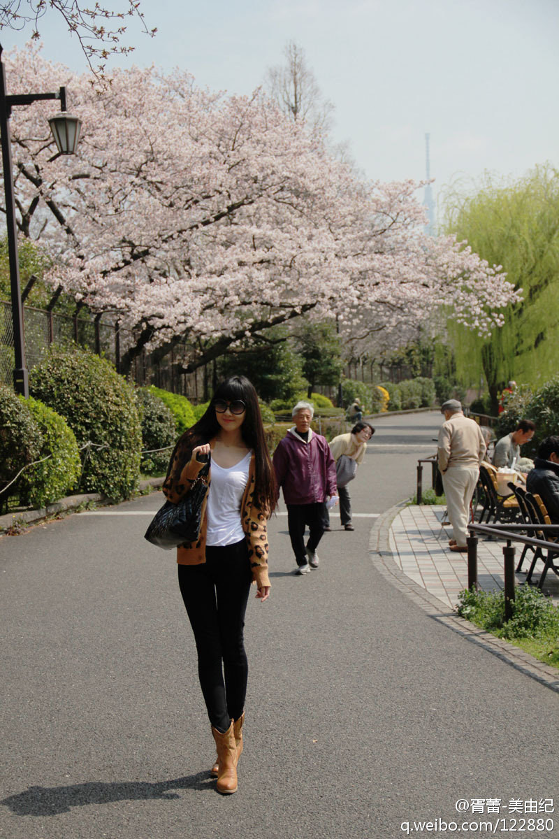 2012美女模特東京排名前4位賞櫻名所美圖遊記攻略