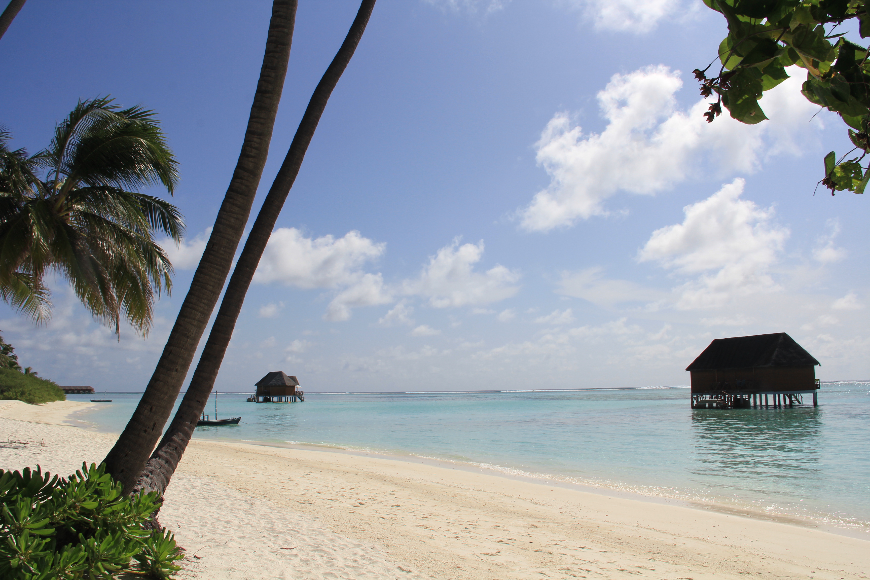 这个夏天,我们在马尔代夫meeru岛自由呼吸 - 马尔代夫游记攻略【携程