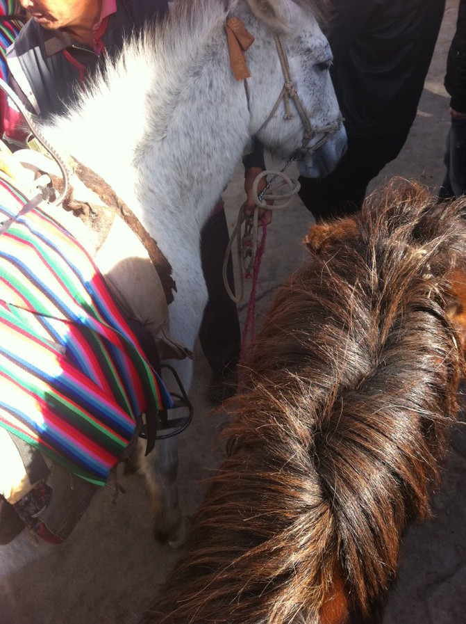 妞视角 云南(拉市海 骑马) - 丽江游记攻略