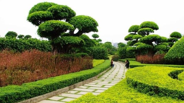 公园内植被茂盛,可以看到来自全国各地的中草药植物以及许多国外名树.