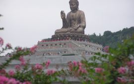 龙口南山旅游区天气预报,历史气温,旅游指数,南