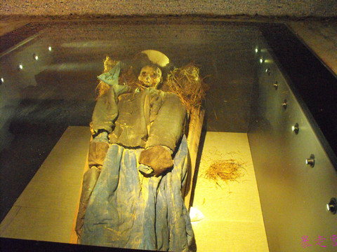 沙漠里发现的干尸