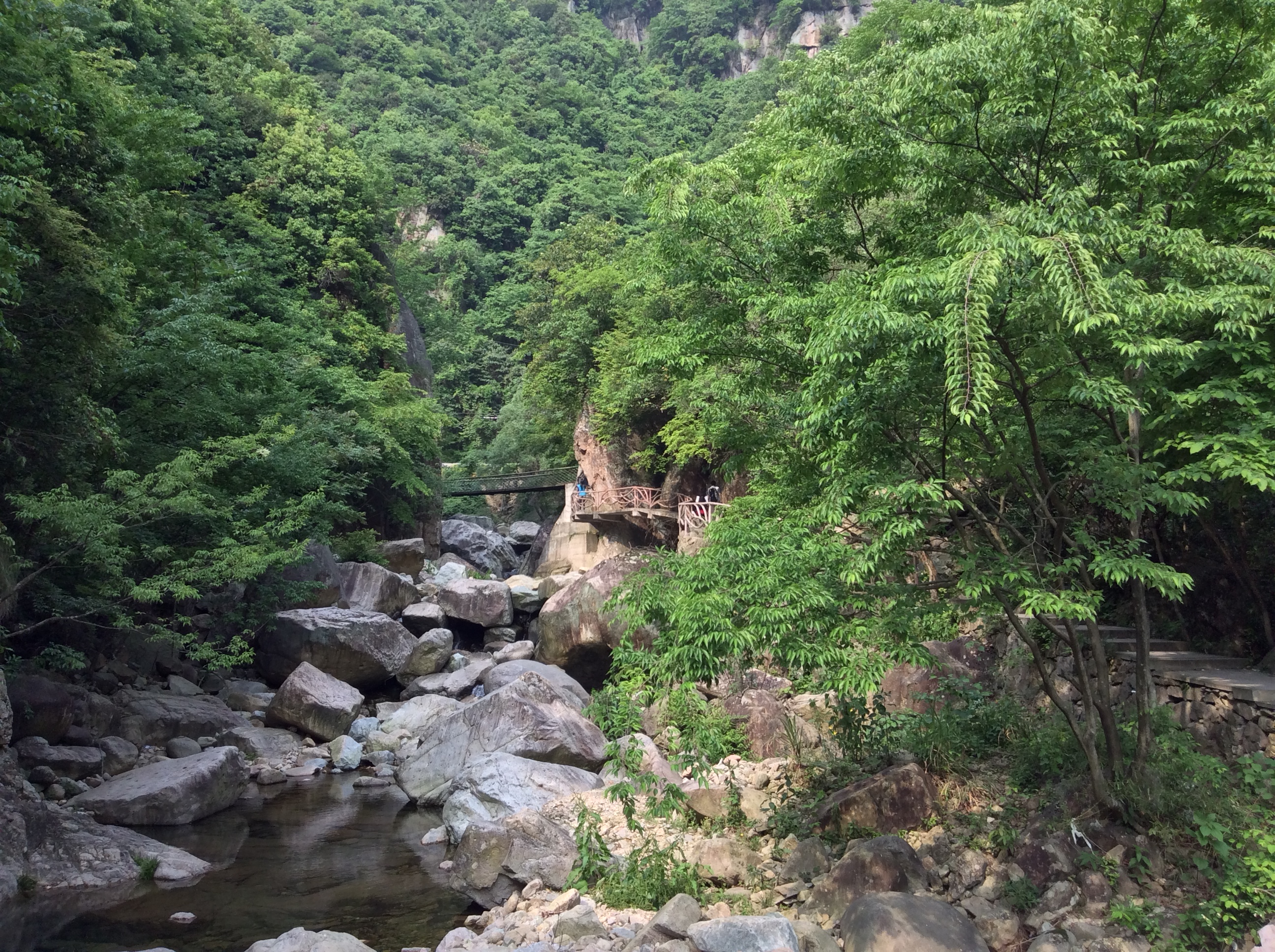 臨安浙西大峽谷/東天目山/太湖源自駕3日遊