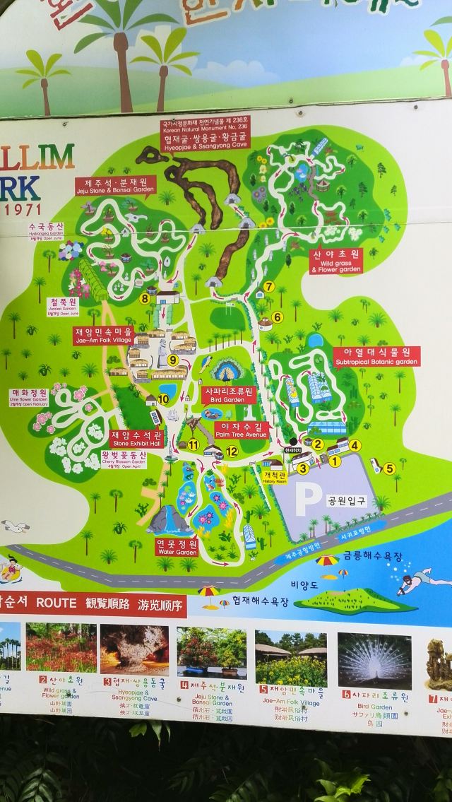 大华行知公园地图图片