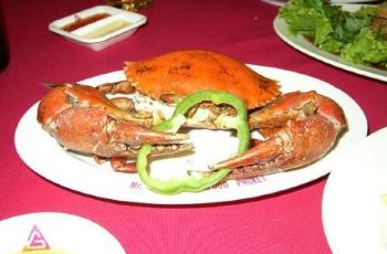 硬菜推荐菜谱海鲜 9ff33ab2eb4343ce9e316f6848e60c52_R_350_230.jpg