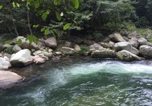 株洲神农谷国家森林公园旅游攻略门票多少钱和交通（成都龙泉是低风险吗）