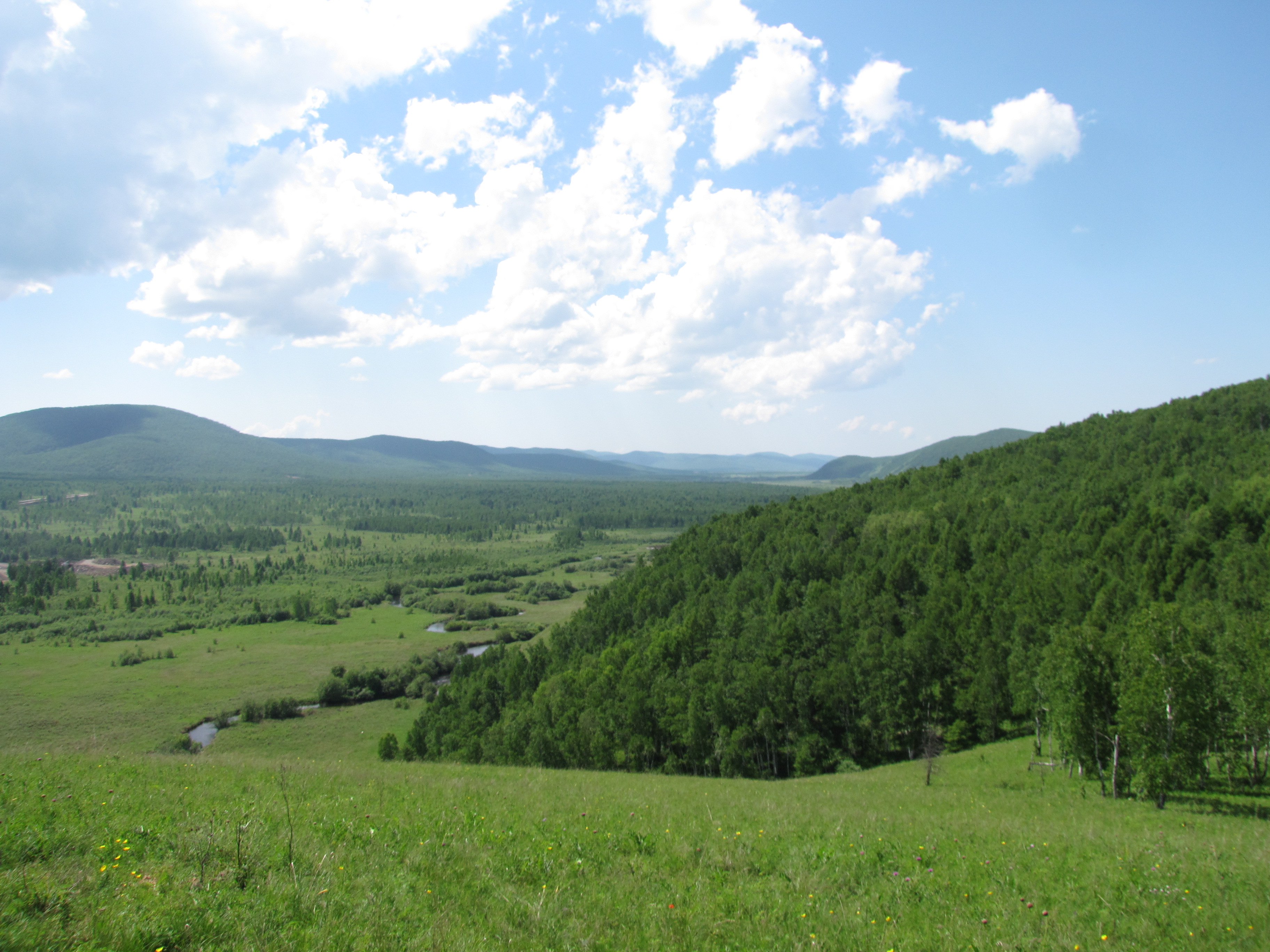 呼伦贝尔大草原哈乌尓河景区有10万牛虻大军 - 内蒙古游记攻略【携程