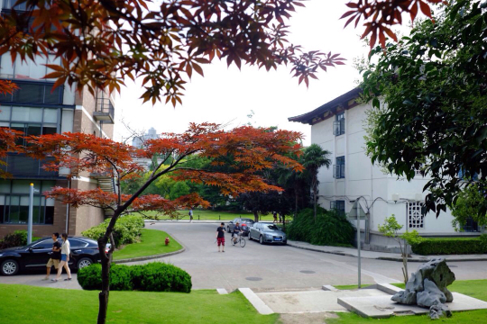 上海站----同济大学校园游