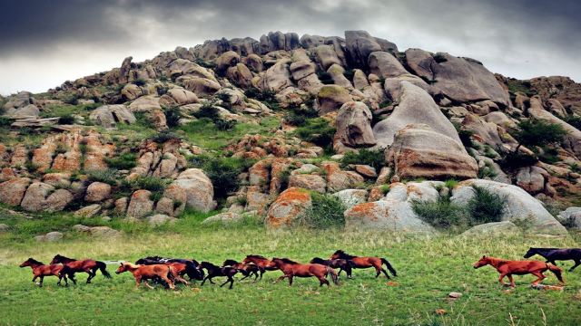 达尔罕茂明安联合旗景点第4名
