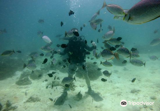 泰国普吉岛 班陶潜水中心